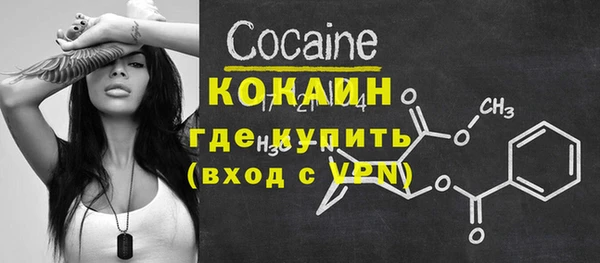 мдпв Дмитриев