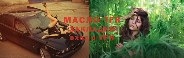 тгк Дмитров