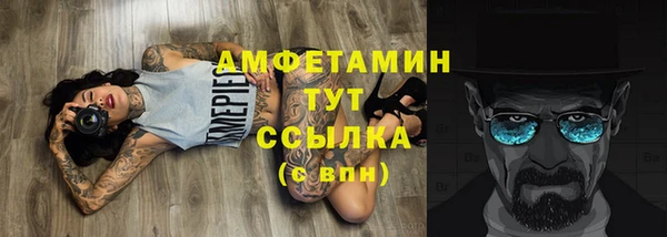 тгк Дмитров