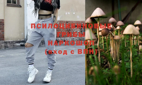 тгк Дмитров