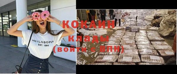 тгк Дмитров