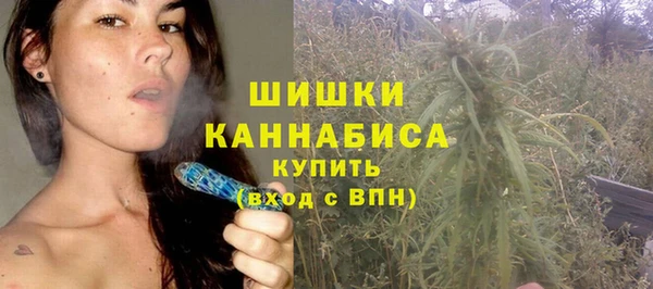 тгк Дмитров