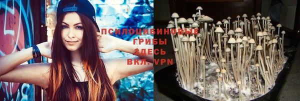 тгк Дмитров