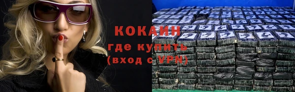 тгк Дмитров