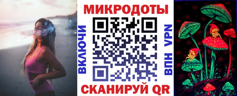 где купить   Заволжье  Галлюциногенные грибы MAGIC MUSHROOMS 